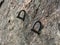 Rock climbing bolts protection in a steep rock wall in Brazil