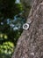 Rock climbing bolts protection in a steep rock wall in Brazil