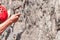 Rock climbing. Climber close-up. Extreme sport. A young climber climbs a vertical granite rock.