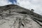 Rock climbing the gigantic Half Dome via snake ascent in Yo