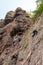 Rock climbing. A group of young rock climbers climb the vertical granite rock. Extreme sport. Training of mountaineers.