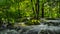 Rock covered by moss and illuminated by sunlight, in a stream. Plitvice Lakes