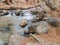 Rock Creek in the Owens Valley