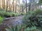 Rock Creek in Rock Creek Campground near Florence, Oregon