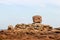 Rock The Cube - a natural place in TrÃ©gastel