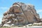 Rock in Desert Landscape in Joshua Tree National Park, California