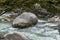 Rock detail in the stream surrounds by forest in the Swiss Alps