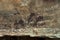 Rock drawing of long past San people (Bushman) in Giants Castle Cave