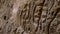 Rock engravings inside cave at Gobustan Rock Art Cultural Landscape in Azerbaijan.
