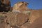 Rock engravings at Twyfelfontein, Namibia