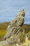 Rock escarpment with background autumnal oak, with cloudy sky