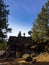 Rock Exploration Deschutes Forest