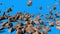 Rock Fall Stones Mountain Debris Blue Screen Down 3D Renderings Animations