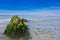 Rock at the famous surfer beach Pointe de la Torche in Brittany