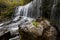 Rock, fern and waterfall