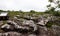 Rock field in Phu Hin Rong Kla national park in Thailand