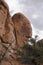 Rock Formation B in Fiery Furnace