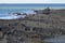 Rock Formation, Blegberry Beach, Hartland, Devon