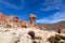 Rock formation called Copa del Mondo or World Cup in the Bolivean altiplano - Potosi Department, Bolivia