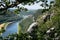 Rock formation czech republic sunny day summer blue sky green forest. europe. life is good