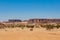 Rock formation and desert vegetation, Sahara dessert, Chad, Africa.