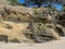 Rock formation at Homunga Bay, Waikato region, New Zealand