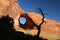 Rock Formation and Juniper Tree - Monument Valley