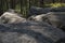 rock formation made from sandstones inside of a forest