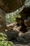 rock formation made from sandstones inside of a forest