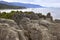 Rock formation pancake rocks at the Pacific Ocean, Westcoast, New Zealand