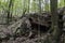 Rock formation on Ridge and Valley Trail