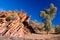 Rock Formation in Wilkawillina Gorge