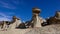 Rock formations at the Ah-shi-sle-pah Wash, Wilderness Study Area