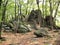 Rock formations along the Appalachian Trail in southern Pennsylvania