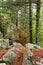 Rock Formations Along Butte