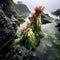 A rock formations in a body of water