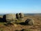 Rock formations in bridestones moor in west yorkshire with a panoramic view over pennine countryside