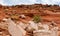 Rock Formations of the Desert Southwest