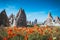 Rock formations and flowers of Cappadocia