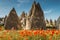 Rock formations and flowers of Cappadocia