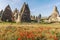 Rock formations and flowers of Cappadocia