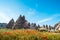 Rock formations and flowers of Cappadocia