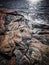 Rock formations at Georgian Bay