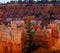 Rock formations and hoodoo’s from Queens Garden Trail