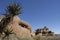 Rock formations at Joshua Tree National Park, Cali