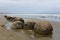 Rock formations on Moeraki Boulders beach