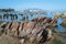 Rock formations near the ferry terminal in Anacortes, Washington, USA