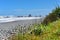 Rock formations and scenic landscape at Motukiekie Beach in New Zealand