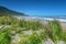 Rock formations and scenic landscape at Motukiekie Beach in New Zealand