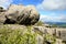 Rock formations in Szczeliniec Wielki in the Stolowe Mountains, the Sudeten range in Poland.